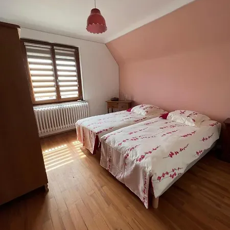 Le Cerisier - Route Des Vins - Parking Et Terrasse Avec Vue Sur Montagnes Et Vignoble *