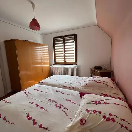 Le Cerisier - Route Des Vins - Parking Et Terrasse Avec Vue Sur Montagnes Et Vignoble 別荘 Sigolsheim