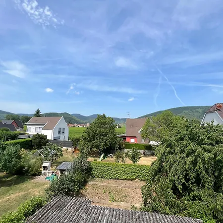 Hébergement de vacances Le Cerisier - Route Des Vins - Parking Et Terrasse Avec Vue Sur Montagnes Et Vignoble Sigolsheim