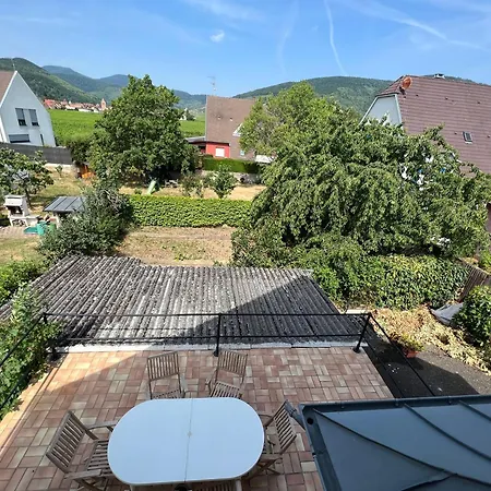 Le Cerisier - Route Des Vins - Parking Et Terrasse Avec Vue Sur Montagnes Et Vignoble Feriehus Sigolsheim